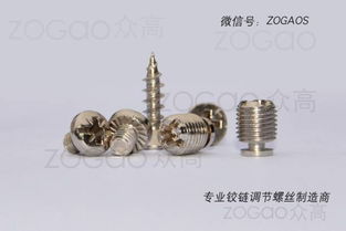 揭東縣埔田鎮(zhèn)東春五金制品廠是一家新型鉸鏈調節(jié)螺絲生產(chǎn)廠家